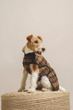 Попона "Пони-Шерлокони"