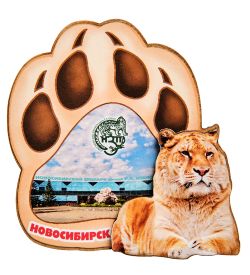 МТ- 005/01 Магнит «Новосибирск»