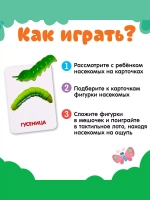 Развивающий набор Мир насекомых