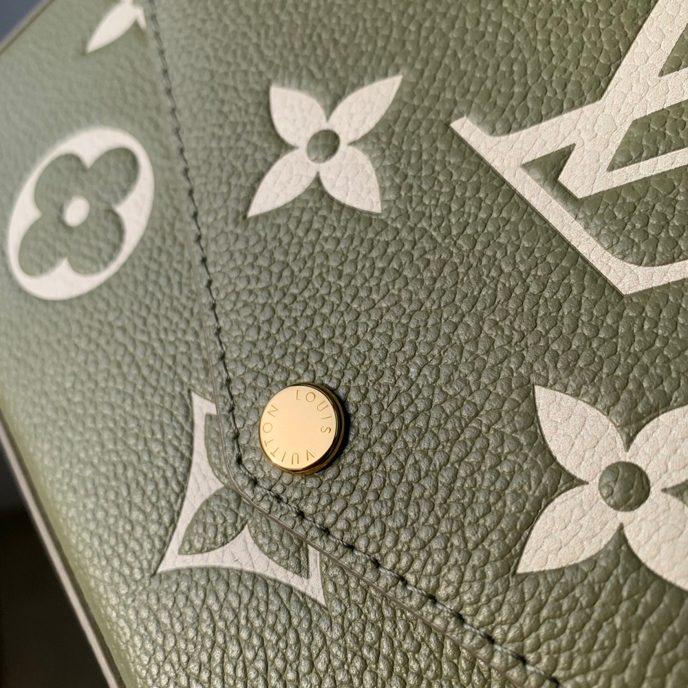Louis Vuitton Felicie Pochette