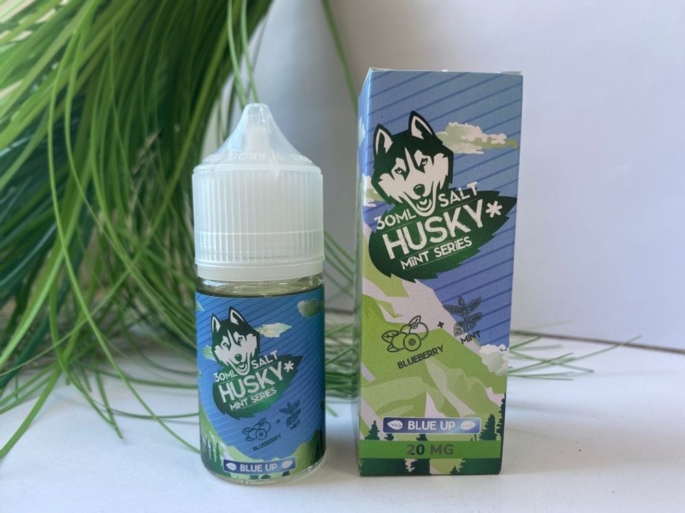 Blue Up by HUSKY MINT Salt 30мл