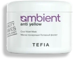 Маска тонирующая Холодный фиолет Anti Yellow Ambient Tefia, 500 мл
