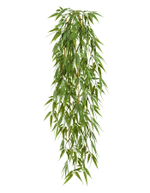 Бамбук ампельный