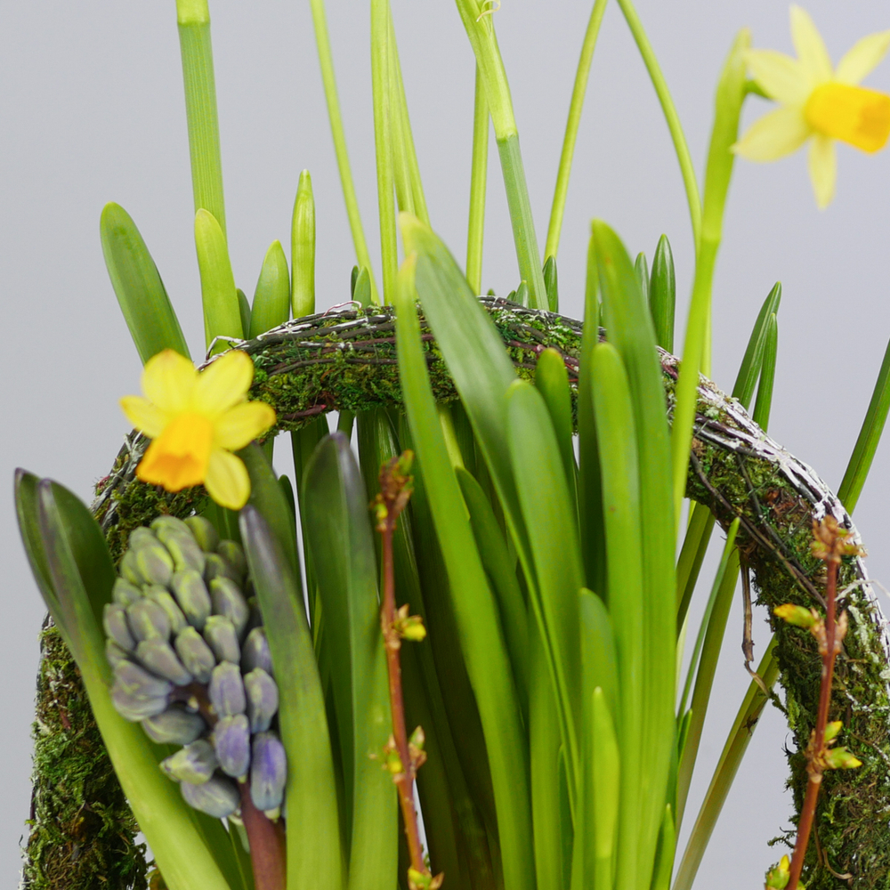 Композиция с первоцветами Лесная корзина M