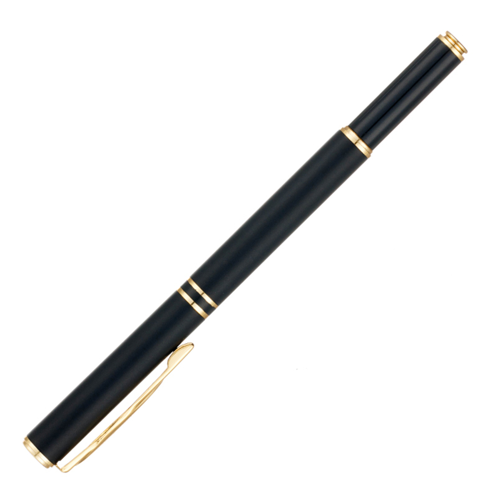Ручка 2 в 1 шариковая + перьевая Pierre Cardin COMBI PEN