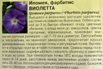 Ипомея Виолетта 0,5 г СМЦ-524