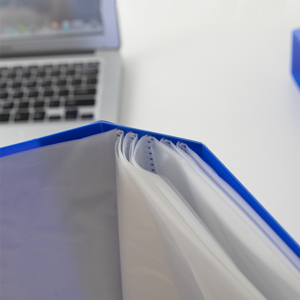 Папка с файлами DELI "Classic" на 60 вкладышей, 1,0 мм, ассорти