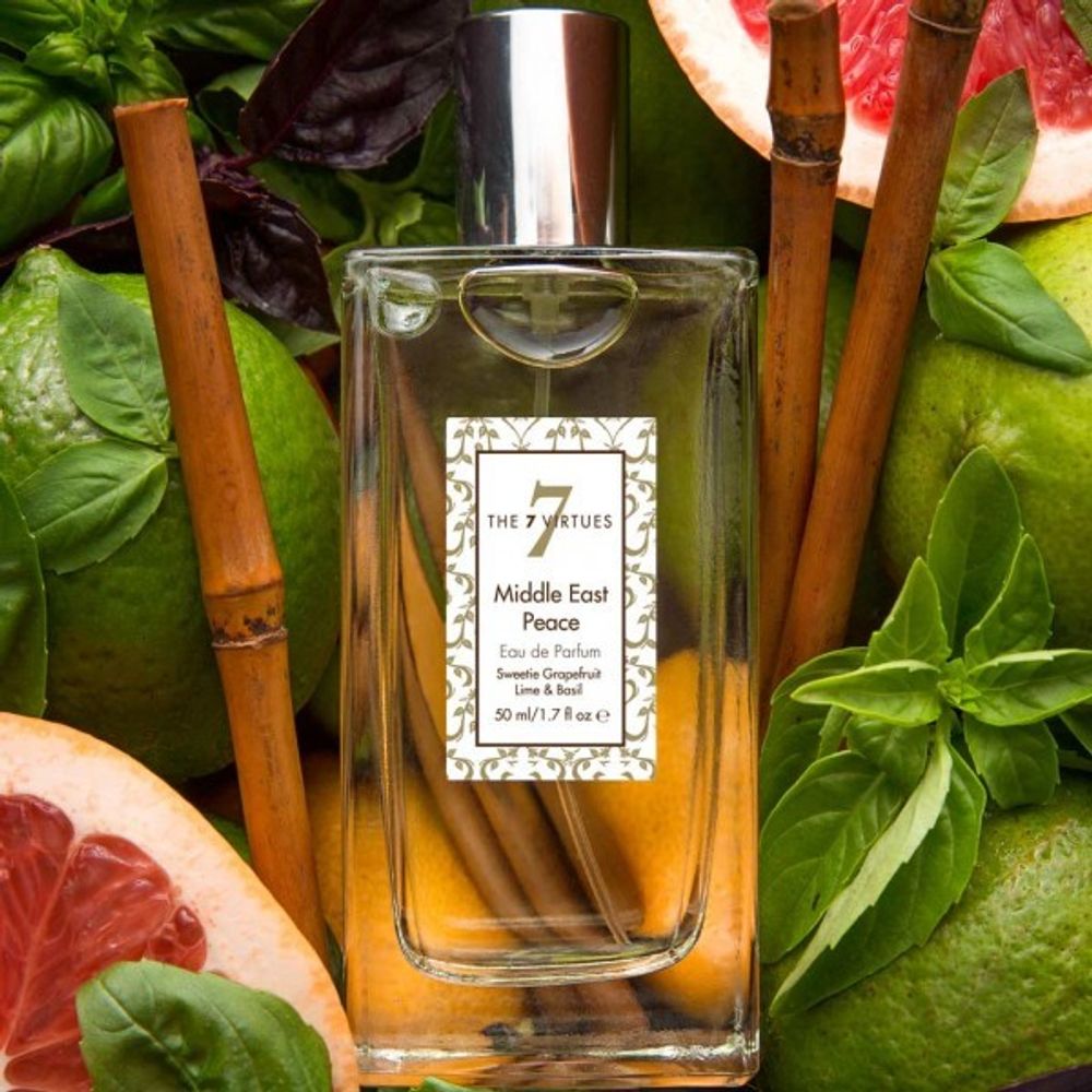 The 7 Virtues Middle East Peace