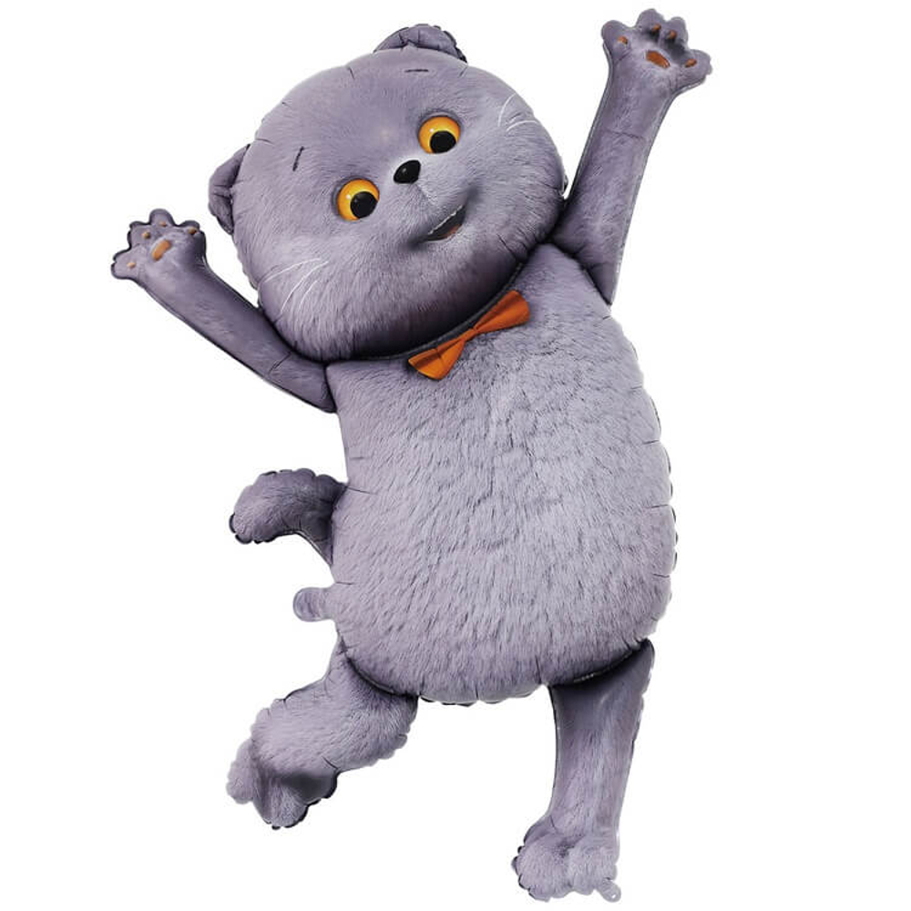 Шар Кот Басик