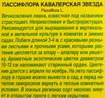 Пассифлора Кавалерская звезда 5 шт СМЦ-242