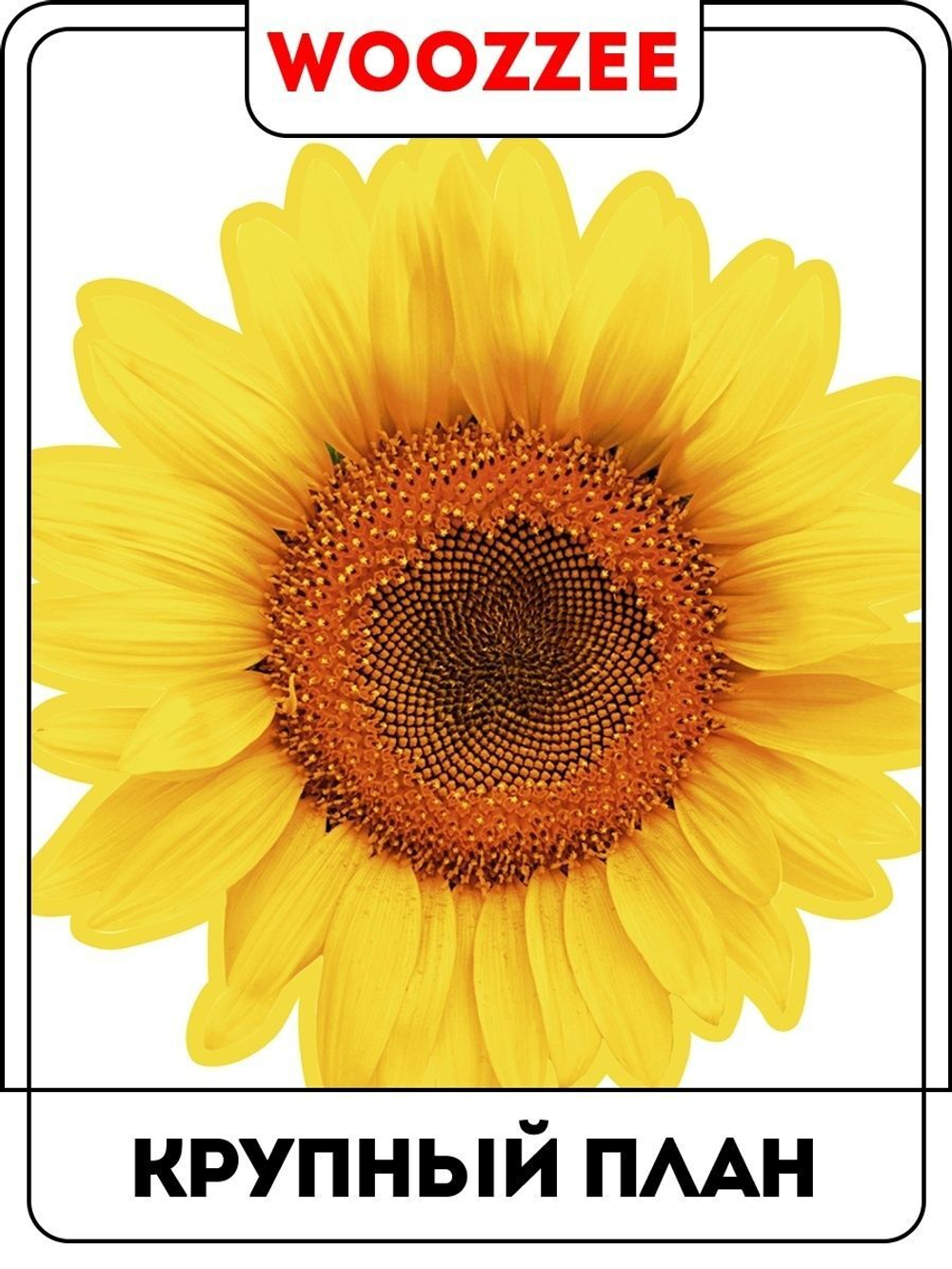 Наклейка декоративная А3 "Подсолнухи"