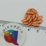 Жоэлина F1 семена огурца партенокарпического (Nunhems / ALEXAGRO) семена
