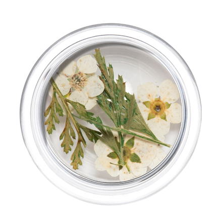 Irisk Сухоцветы в баночке (108)