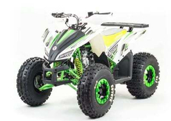 Квадроцикл MOTOLAND 125 COYOTE (2021 Г.)