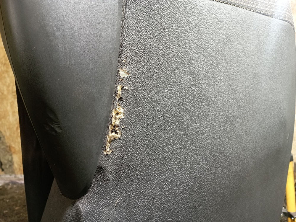 Сиденье водительское пневматическое