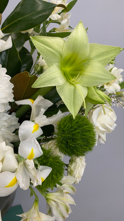 Букет гигант Amore mio