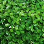 Искусственное растение шар «Самшит» зеленый D-28см Ultramarine