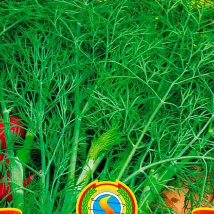 Укроп Гурман 1,5г (Вкуснятина) Ц НК