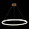 Подвесной светодиодный светильник ST Luce Avana SL6110.223.01