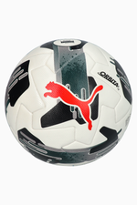 Футбольный мяч Puma Orbita 1 FIFA Quality Pro размер 5 - белый