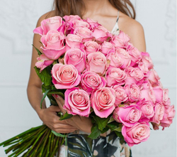 Розовые розы Эквадор 50см
