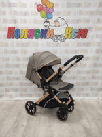 Коляска прогулочная Rant Basic Vortex Beige