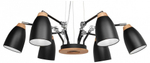 Подвесная люстра Loft it Watchman LOFT4402/6BL