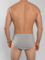 Трусы слипы комплект F1120