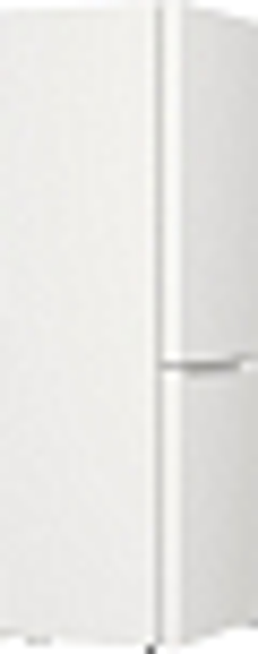 Отдельностоящий двухкамерный холодильник Gorenje RK6191EW4