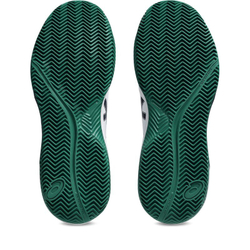 Теннисные кроссовки Asics Gel-Dedicate 8 Clay - white/midnight