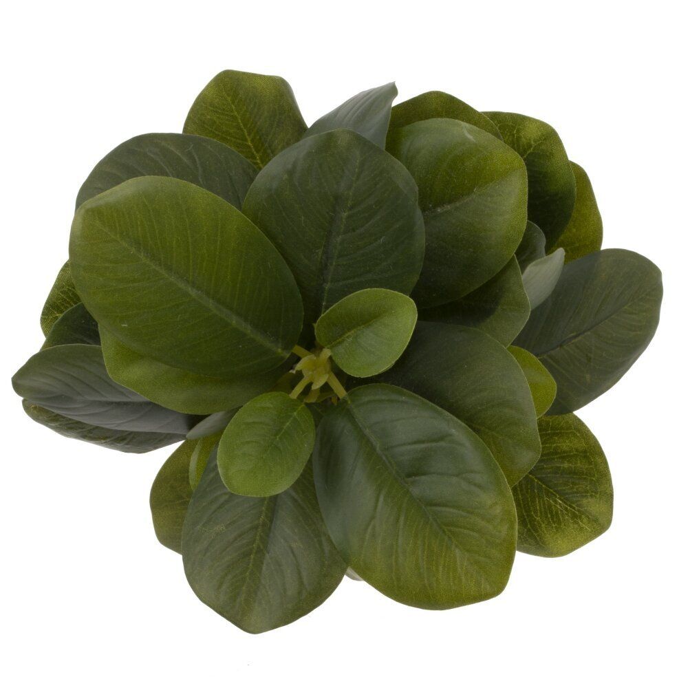 GAEM Цветочная композиция, L10 W10 H25 см