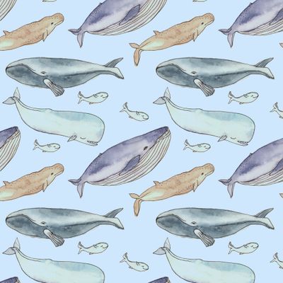 Киты на голубом фоне