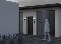 Уличный настенный светильник Maytoni Alura O492WL-01GF