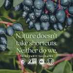 New Chapter, Иммунная защита, витамин C + бузина, 30 вегетарианских таблеток