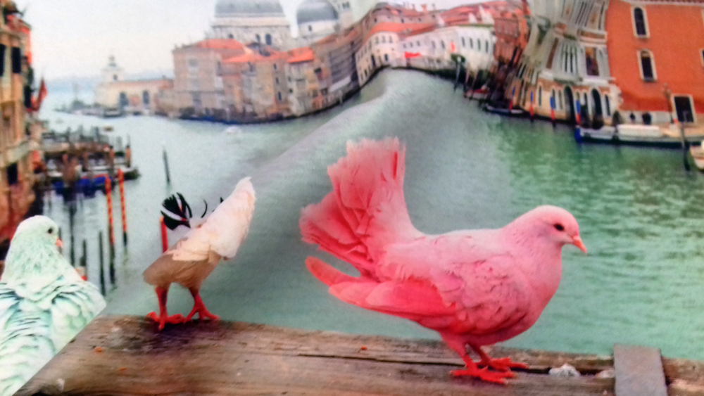 Микровелюр Xpoint (Икспоинт) 0027.01 Голуби