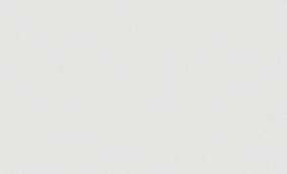 Обои Erismann NEOCHIC 60009-04 1,06 м