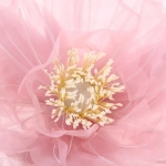 Фигура светодиодная «Нежный цветок» на стойке, d-75см, h-1,6 м, пост.свечение,220v,Розовый