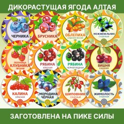 Семена укропа пищевые.