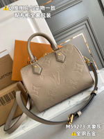 Louis Vuitton Speedy 25