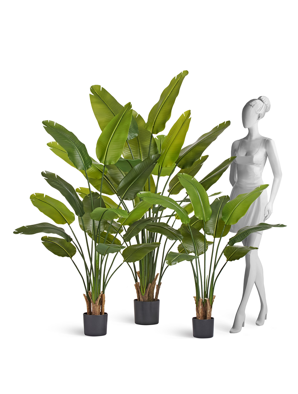 Стрелиция New Style зелёная в-160 см (13 листов)(Sensitive Botanic) c UV-защитой 4/4 10.072435N/UVG