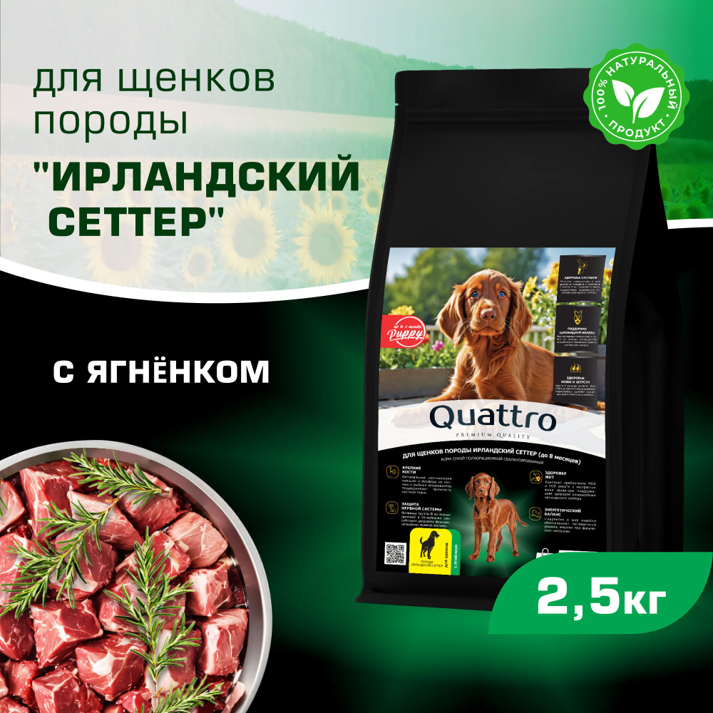 Корм сухой для щенков породы Ирландский сеттер, премиум полнорационный комплекс, с ягненком, 2,5 кг, QUATTRO