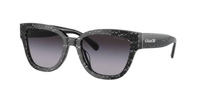 Солнцезащитные очки HC8379U Coach - серебряный(HC8379U)