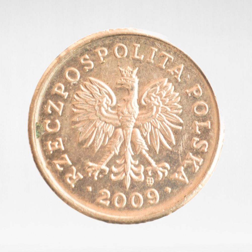 Poland, 10 Groszy, 2009, VF