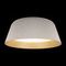 Потолочный светодиодный светильник Loft IT Evans 10224 White