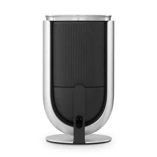 Bang & Olufsen Beolab 8 Silver/Oak, TS