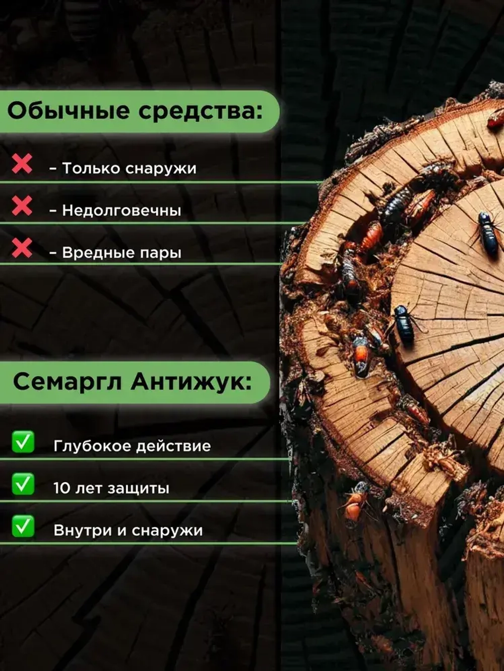 АнтиЖук для древесины 10л