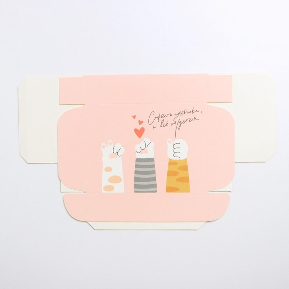 Коробка складная «Лапки», 21 × 15 × 5 см