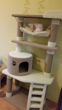 Домик для кошки И-82