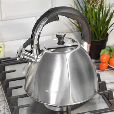 Чайник 3,2л нерж со свистком и ручкой "soft touch", индукция