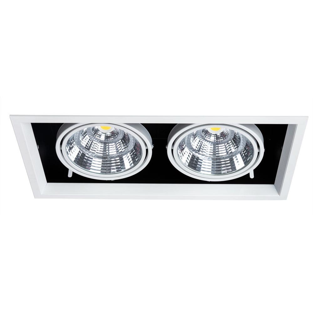 Встраиваемый светильник Arte Lamp A8450PL-2WH